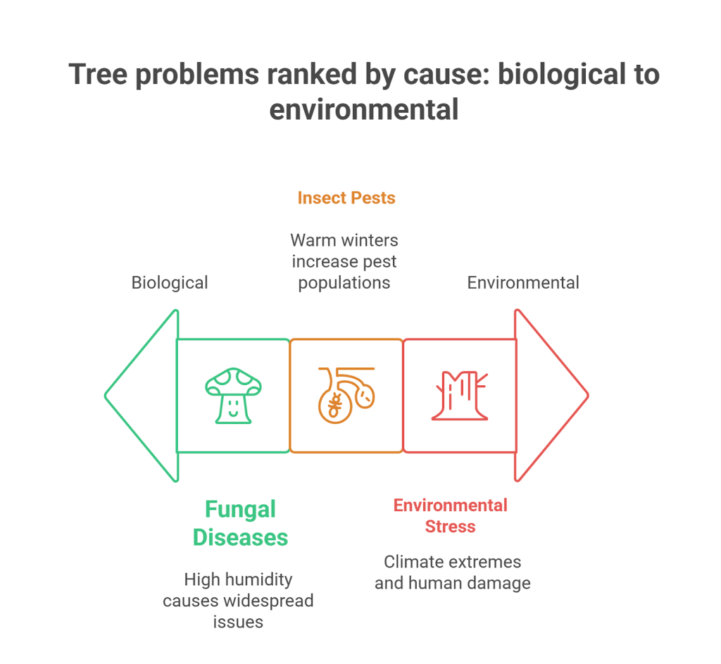 Top Tree Problems in North Mississippi